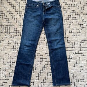 GAP Classic Blue Straight Women's Jeans